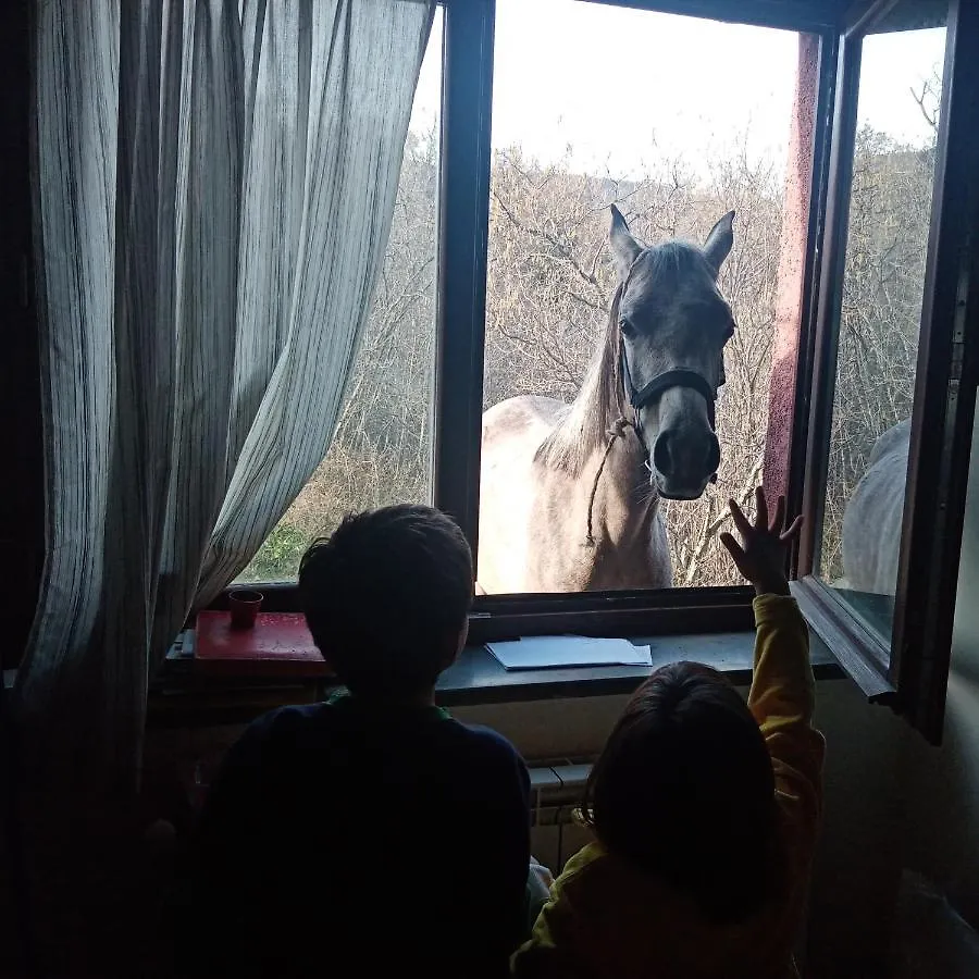 Alloggio per agriturismo Agriturismo La Caraffara sull' Etna Puntalazzo