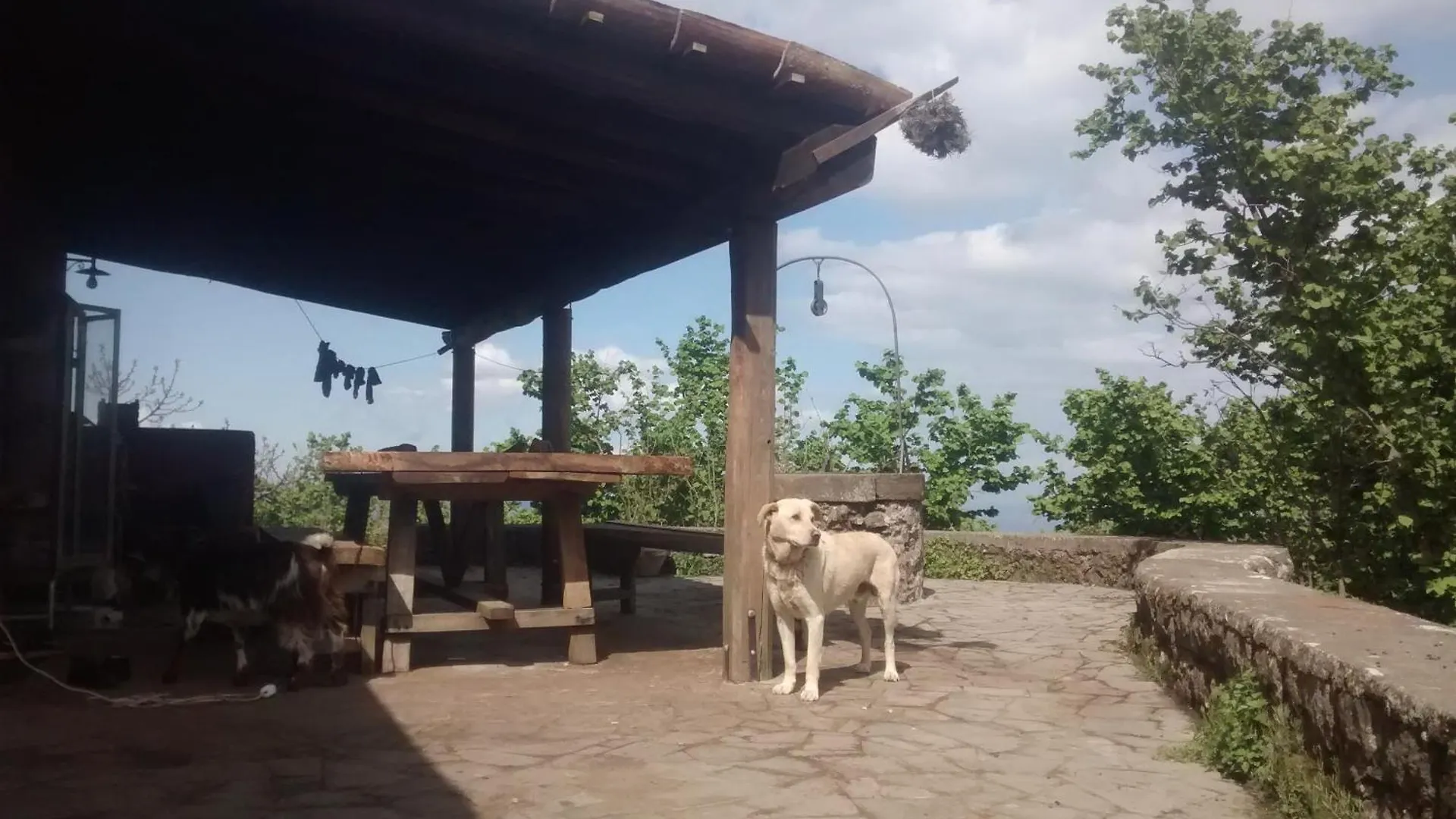 Agriturismo La Caraffara Sull' Etna Puntalazzo Farm stay